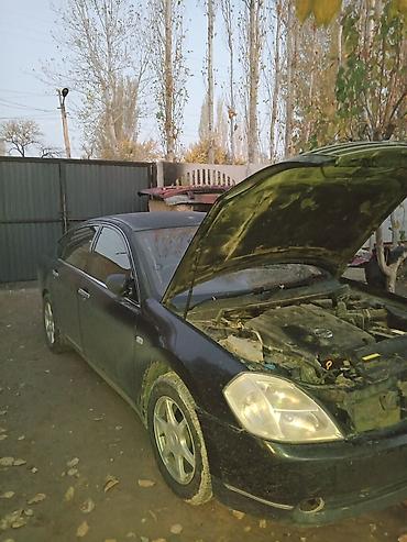 Nissan: Nissan Teana: 2006 г., 2.3 л, Автомат, Бензин, Седан — 10