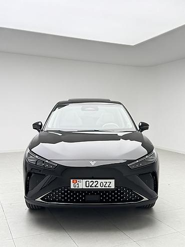 климат контроль 210: Hozon Neta L: 2024 г., 1.5 л, Автомат, Гибрид, Кроссовер — 2