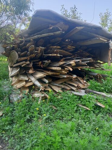 лоток для яйца: Доски, Обрезные, Для крыши, Карагач, Черновые