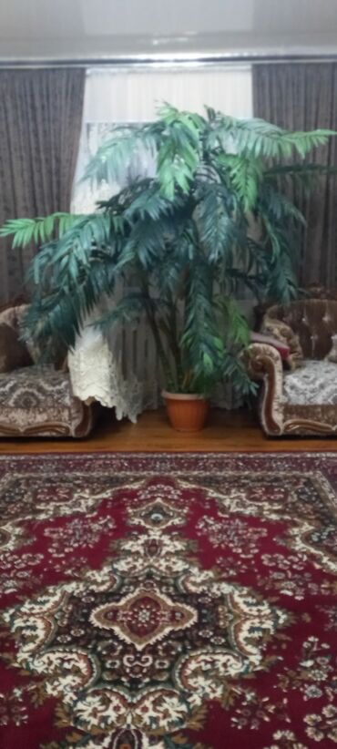 дом растение пальма: Искуственная пальма. Высота 2м