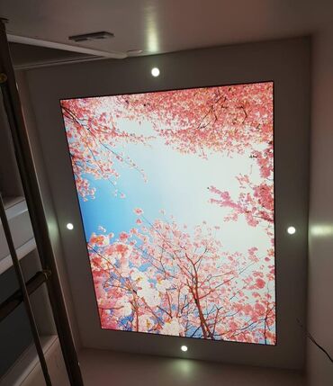 Digər tikinti xidmətləri: Dartma tavan dartma tavanlar 3D-5D Foto Divar Kağızları3d 5d Dartma — 8