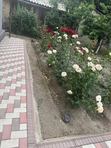 Продажа домов: Дом, 100 м², 5 комнат, Собственник, Евроремонт — 28