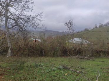 Torpaq sahələrinin satışı: 10 sot, Tikinti, Mülkiyyətçi, Kupça (Çıxarış) — 8