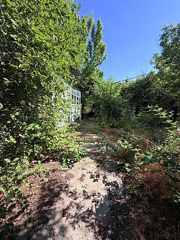 паливной поля: 4 соток, Тех паспорт, Договор купли-продажи — 4