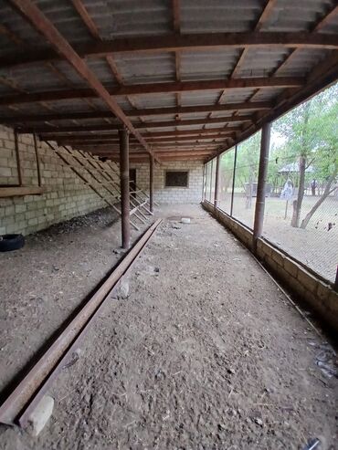 Kənd təsərüfatı heyvanları üçün digər mallar: Salam Arenda veya satmaq Heyvan saxlanılan təsərrüfat/qoyun‑malqar — 12