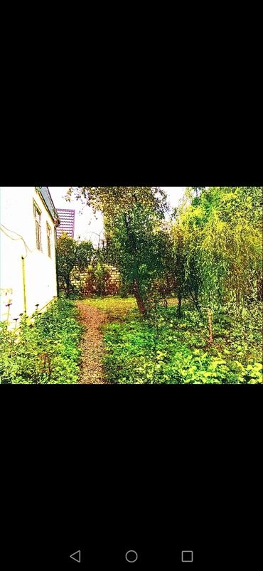 Günlük kirayə mənzillər: 4 otaqlı — 2