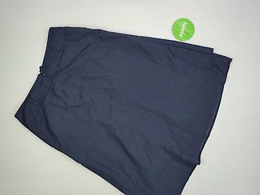 plisowanka: Spódnica damska, rozmiar 2XL — 3