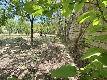 Torpaq sahələrinin satışı: 6 sot, Tikinti, Kupça (Çıxarış) -da lalafo.az — 21 Torpaq sahələrinin satışı: 6 sot, Tikinti, Kupça (Çıxarış) — 21