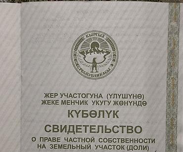 Жер тилкелери: 462 соток — 4