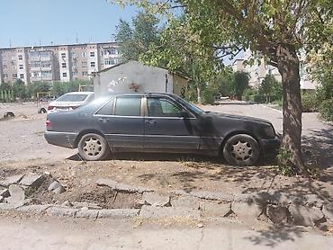 s420 1992: Mercedes-Benz S-Class: 1996 г., 5 л, Автомат, Газ, Седан — 3
