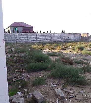 merdekanda torpag: 12 sot, Tikinti, Mülkiyyətçi, Kupça (Çıxarış) — 4