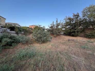 Torpaq sahələrinin satışı: Tikinti — 6