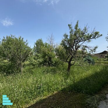продажа квартира в бишкек: 6 соток, Для строительства, Красная книга