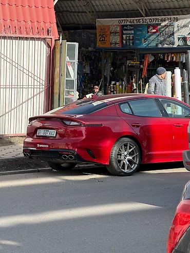 киа к5 хищник: Kia Stinger: 2019 г., 2 л, Автомат, Бензин, Лифтбек — 1