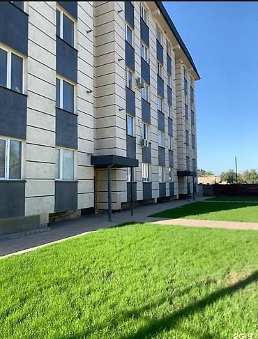1 комната, Кызыл Аскер Собственник, Без животных, от 1 года, С мебелью полностью