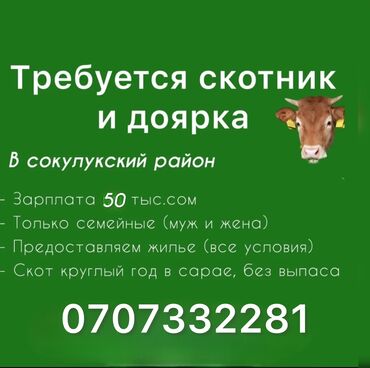 требуются каменщики: Требуется Скотник, Оплата Ежемесячно
