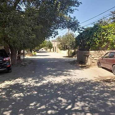 baxca: 3 sot, Kənd təsərrüfatı, Mülkiyyətçi, Kupça (Çıxarış) — 8
