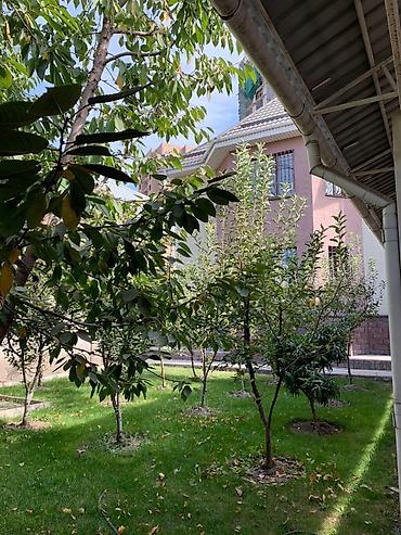 Долгосрочная аренда домов: 300 м², 6 комнат — 2