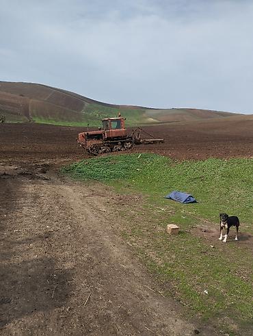 traktor satisi az: Texnika tam ideal vəziyyətdədir buldozer ve kotan qarißiq satilir — 3