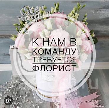 флориста: Требуется флорист с опытом работы в цветочном салоне от 2х лет и — 1