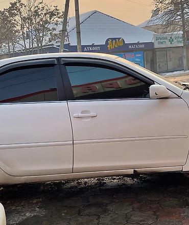 Солнцезащитные шторки и зонты: Солнцезащитный экран, Новый, Бесплатная доставка, Платная доставка, Самовывоз — 12