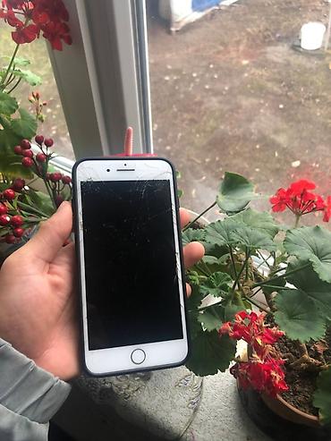 Apple iPhone: IPhone 8 Plus, 64 ГБ, Белый — 1