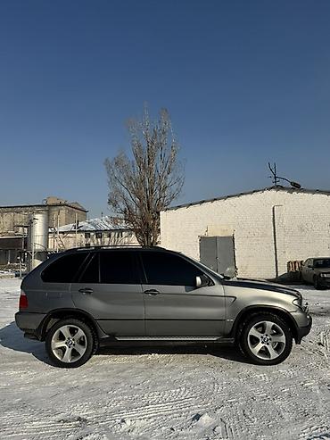 BMW: BMW X5: 2002 г., 3 л, Автомат, Дизель, Кроссовер — 8