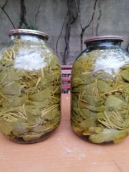 İçkilər: Üzüm yarpagi gübrəsiz duzlu suya qoyulmus 3kq balon 12m satisda 700qr