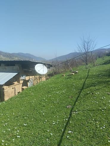 kiraye ile satilan evler: Dağ mənzərəli torpaq sahəsi və köhnə tikili - Geniş yaşıllıqla — 1