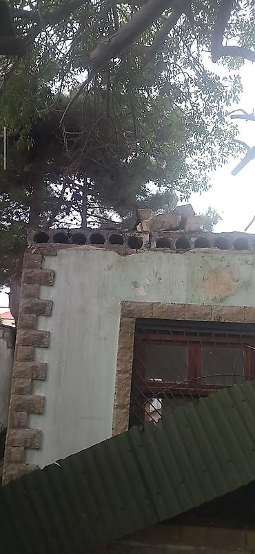 ikinci el siferler: Beton panel uzunu 6 eni1. 20 — 1