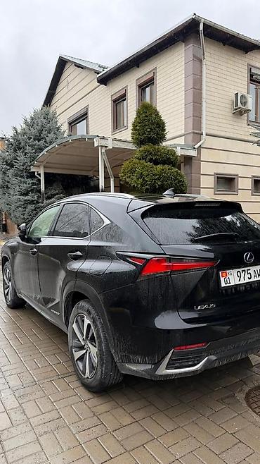 300h: Lexus NX: 2019 г., 2.5 л, Вариатор, Гибрид, Кроссовер — 4