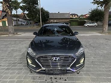 byd han: Hyundai Sonata: 2018 г., 2 л, Автомат, Газ, Седан — 1