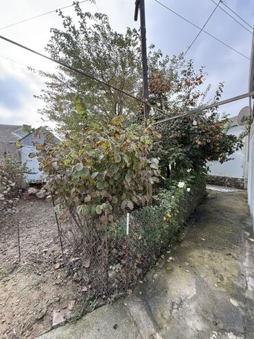 Həyət evləri və villaların satışı: 4 otaqlı, 500 kv. m, Kredit yoxdur, Yeni təmirli -da lalafo.az — 1 Həyət evləri və villaların satışı: 4 otaqlı, 500 kv. m, Kredit yoxdur, Yeni təmirli — 1