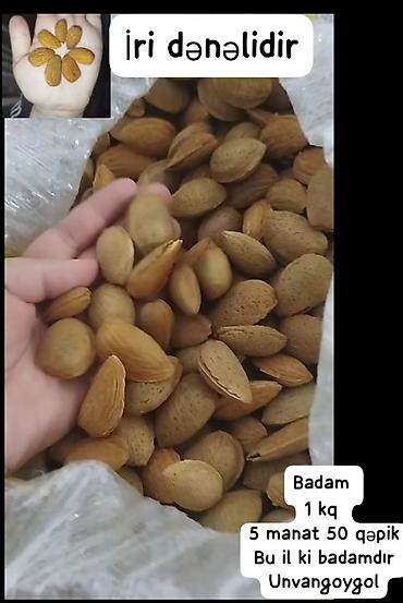 Badam – iri dənəli, qabıqlı. Məhsul: Bu ilki badam. Çəkisi və qiyməti