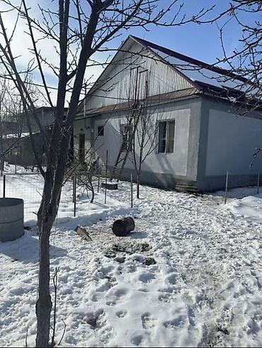 Продажа коттеджей и домов: Угловой участок в начале Пригородного, можно поделить на два. • — 1