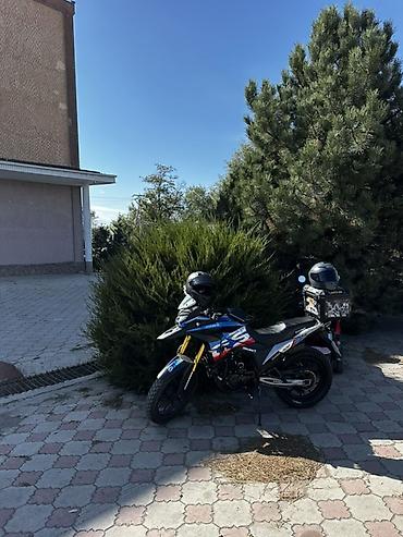 куплю яву мотоцыкыл: Adventure 300 куб. см, Бензин, Взрослый, Б/у — 1