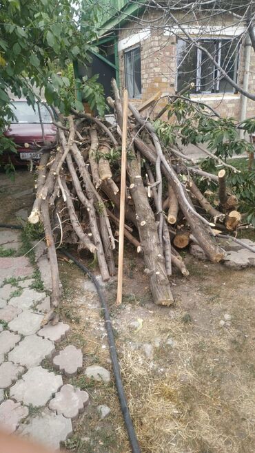 Спил деревьев, заготовка дров: Пилю деревья цена индивидуально! Пилю дровабревна 1500 - с/куб — 7