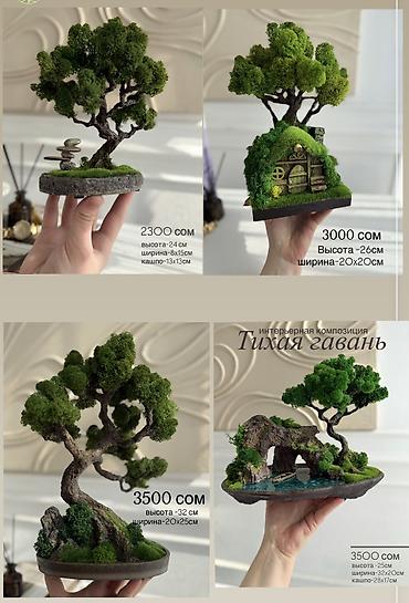 Декоративные цветы: Деревья-бонсай из натурального стабилизированного мха🌳 -это — 84