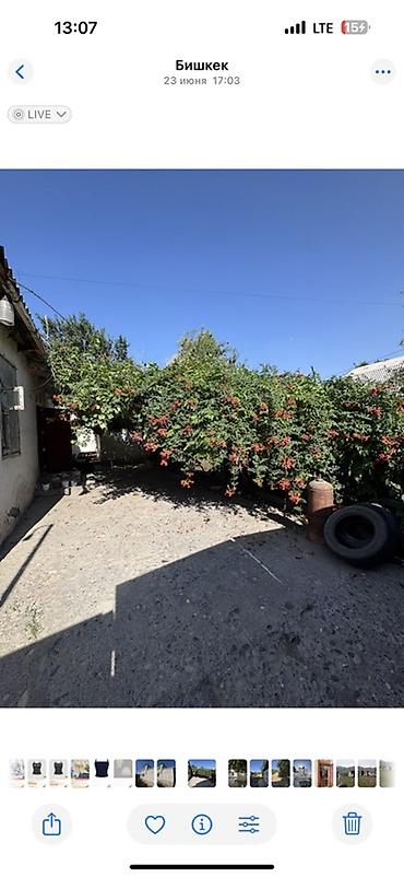 Продажа коттеджей и домов: Продаётся двухэтажный дом с внутренней лестницей и светлыми комнатами at lalafo.kg — 13 Продажа коттеджей и домов: Продаётся двухэтажный дом с внутренней лестницей и светлыми комнатами — 13