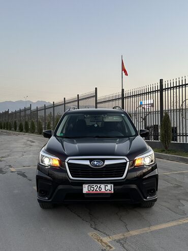 спортивные машины: Subaru Forester: 2020 г., 2.5 л, Вариатор, Бензин, Кроссовер