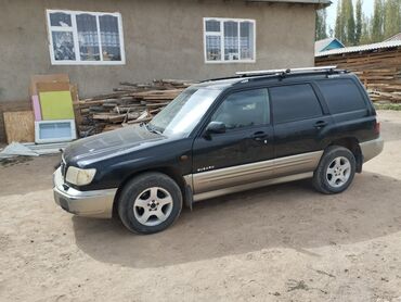 субару форестер турбо: Subaru Forester: 2000 г., 2 л, Автомат, Бензин, Хэтчбэк