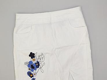 levis dżinsy: John Baner, Spódnica damska, rozmiar 2XL — 1