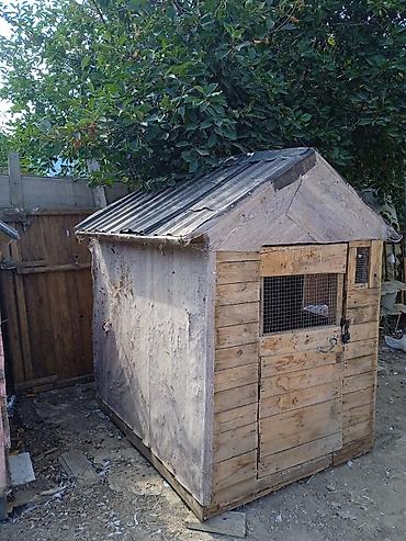 qus dami satilir: Taxta göyərçinxana / quş yuvası - Material: tamamilə taxtadan — 3