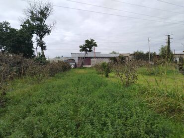 Torpaq sahələrinin satışı: 130 sot, Tikinti, Kupça (Çıxarış) — 13