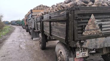 Прицепы и полуприцепы: Прицеп, ЗИЛ, Бортовой, 7 т, Б/у