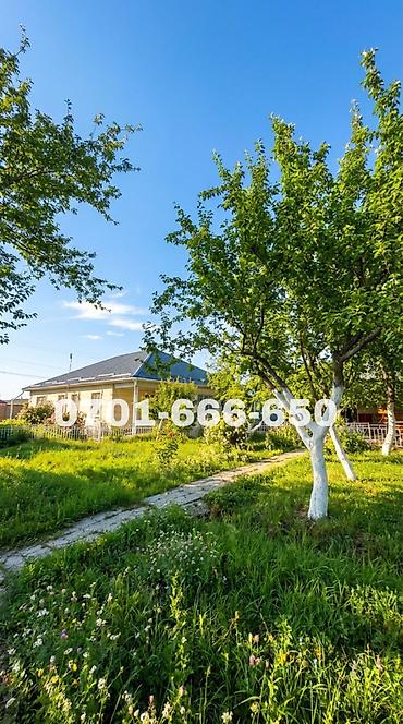 Продажа коттеджей и домов: 🚨🔥 ТОПОВЫЙ УЧАСТОК В КОЙ-ТАШЕ — 20 СОТОК С ДОМОМ! 🔥🚨 📍 ЛУЧШАЯ ЛОКАЦИЯ — 8