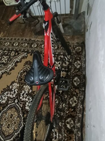 Çaydanlar: Dağ velosipedi Isma, 22"