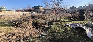 Жер тилкелери: 3 соток, Курулуш, Кызыл китеп — 2