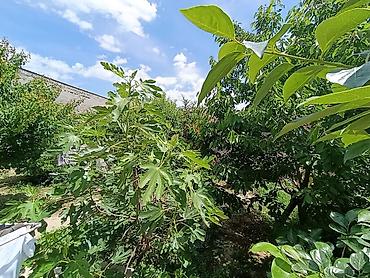 Продажа коттеджей и домов: 🏡 Продаётся двухэтажный дом на участке 5 соток! 📍 Отличная локация — — 12