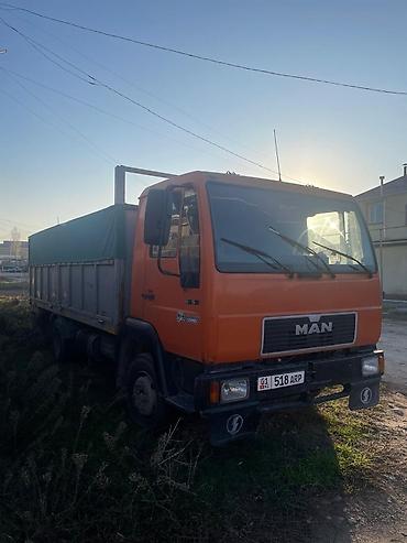 лампа для брудера: Грузовик, MAN, Стандарт, 5 т, Б/у — 3